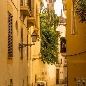 palma de mallorca