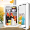 22L Refrigerador Pequeño Coche CB Ce Compresor Comercial GS USB Plástico Coche y Casa Pequeño Hogar Mini
